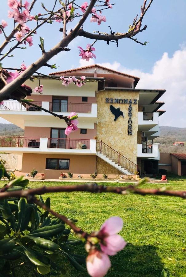 Guesthouse Alkioni Lithótopos エクステリア 写真